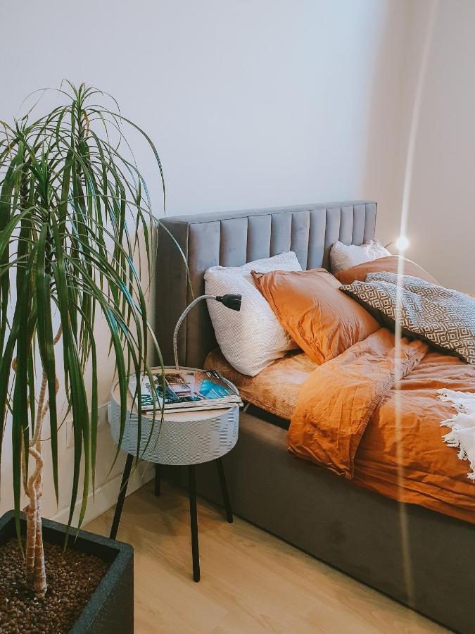 Priestranny Apartman V Centre Košice Εξωτερικό φωτογραφία